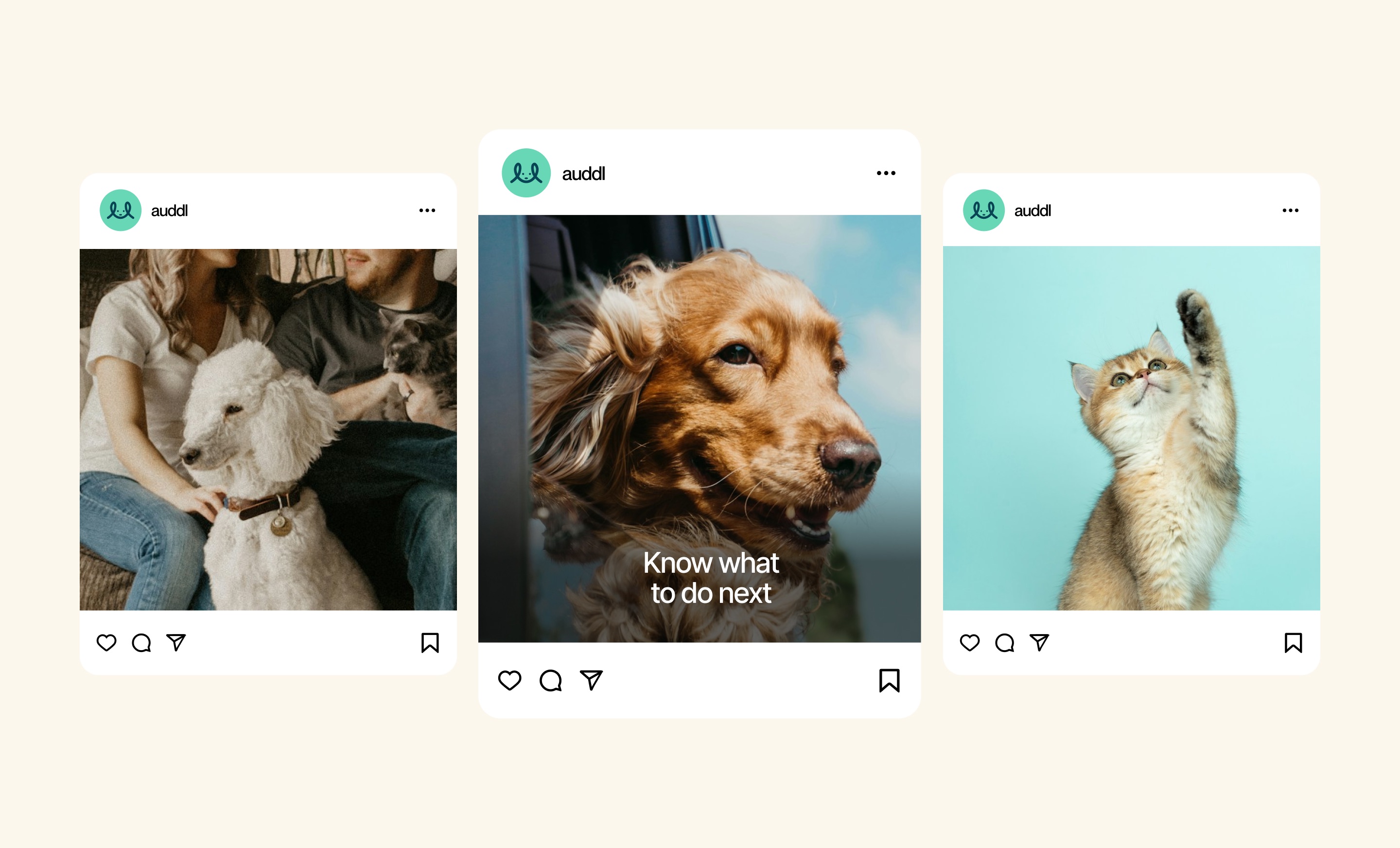 auddl social media posts